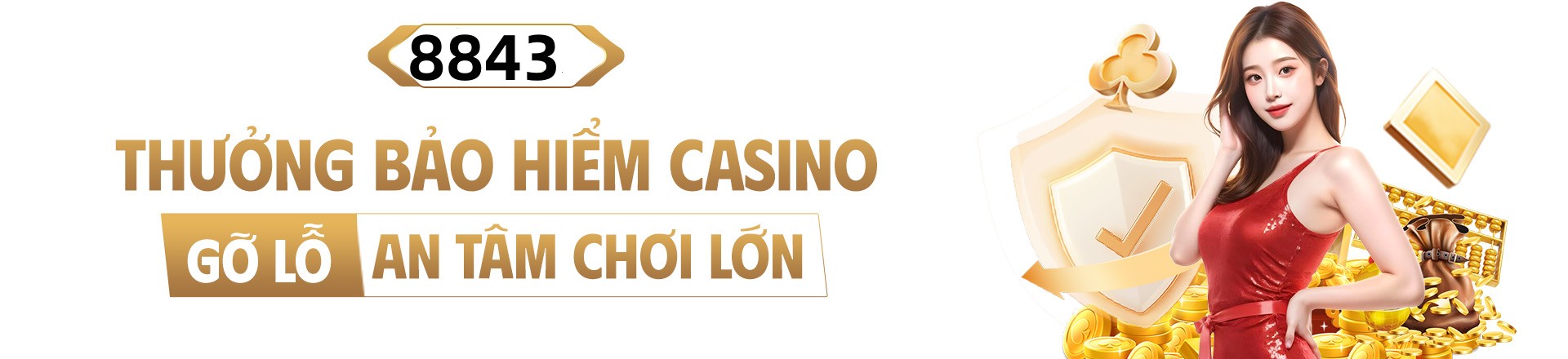 Hình ảnh quảng cáo của netwin hiển thị nền tảng và các lợi ích