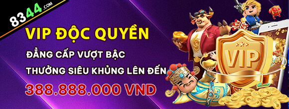 Hình ảnh quảng cáo của netwin hiển thị nền tảng và các lợi ích