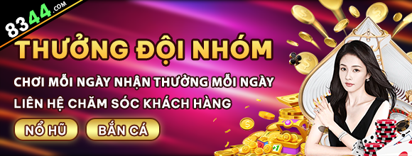 Hình ảnh quảng cáo của netwin hiển thị nền tảng và các lợi ích