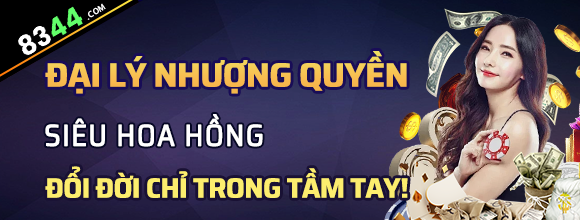 Hình ảnh quảng cáo của netwin hiển thị nền tảng và các lợi ích