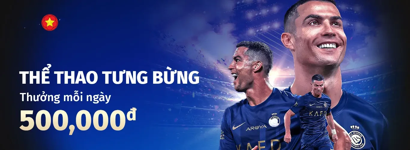 Hình ảnh quảng cáo của netwin hiển thị nền tảng và các lợi ích