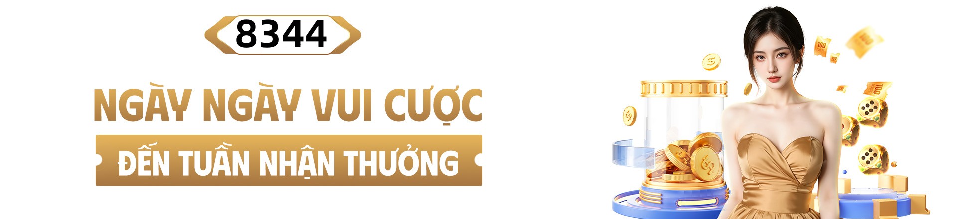 Hình ảnh quảng cáo của netwin hiển thị nền tảng và các lợi ích