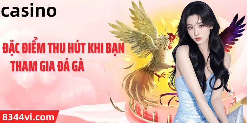 Hình ảnh quảng cáo của netwin hiển thị nền tảng và các lợi ích