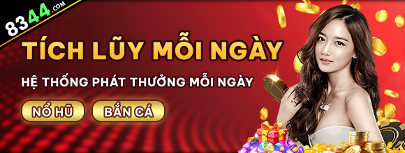 Hình ảnh quảng cáo của netwin hiển thị nền tảng và các lợi ích