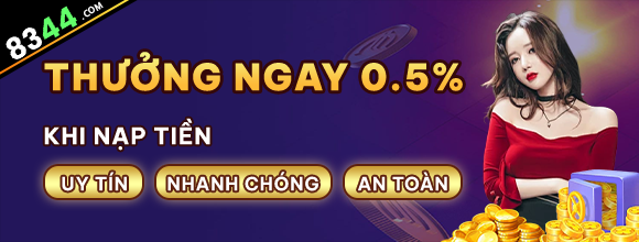 Hình ảnh quảng cáo của netwin hiển thị nền tảng và các lợi ích