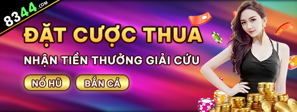 Hình ảnh quảng cáo của netwin hiển thị nền tảng và các lợi ích