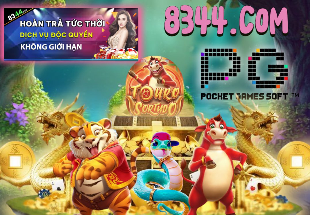 Hình ảnh quảng cáo của netwin hiển thị nền tảng và các lợi ích