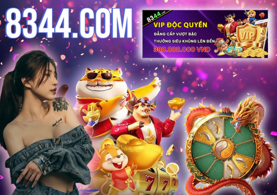 Hình ảnh quảng cáo của netwin hiển thị nền tảng và các lợi ích