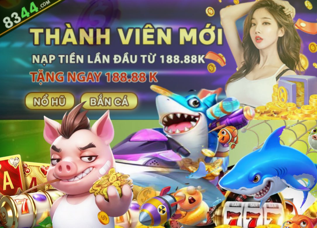 Hình ảnh quảng cáo của netwin hiển thị nền tảng và các lợi ích