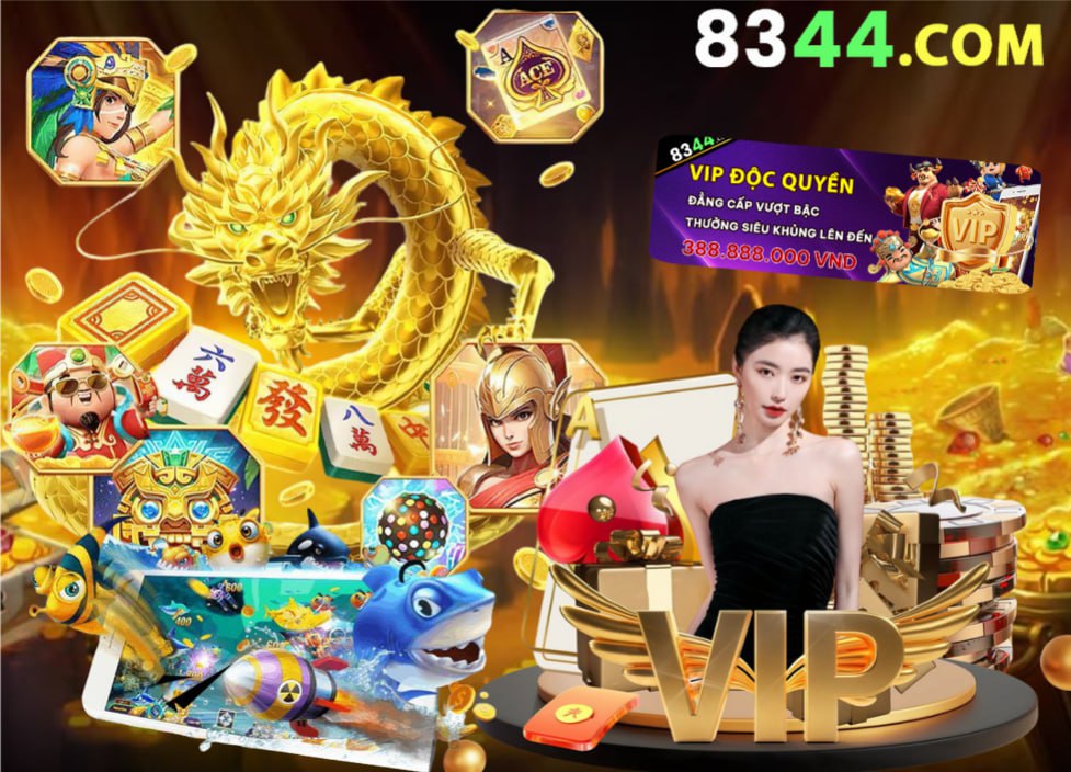 Hình ảnh quảng cáo của netwin hiển thị nền tảng và các lợi ích