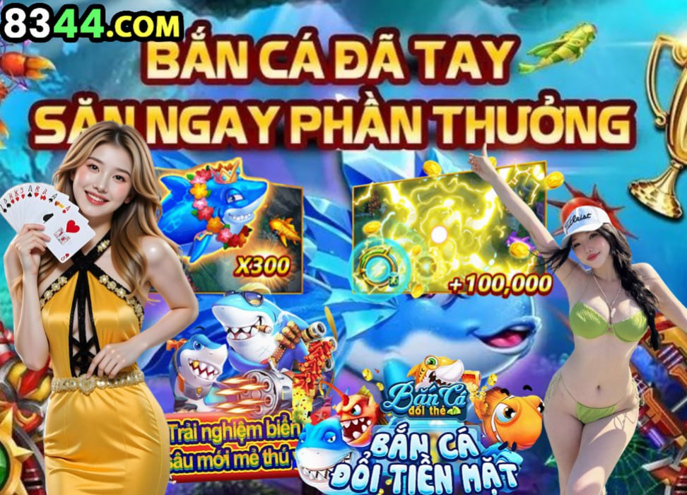Hình ảnh quảng cáo của netwin hiển thị nền tảng và các lợi ích